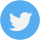 twitter social icon